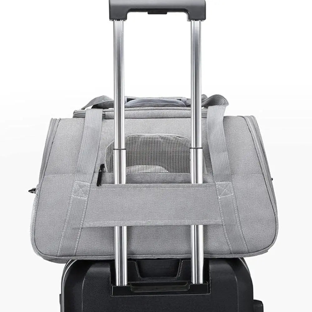 Prowalk Transportín para gato Mediano, Seguridad y Comodidad en tus Viajes, Prepara a tu mascota para aventuras seguras y cómodas con nuestra Bolsa de transporte de animales, Transpontines para mascota en color azul turquesa, rosa, Morado